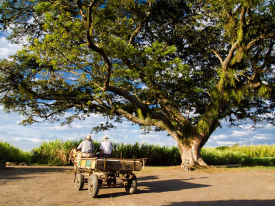 La-tierra-y-la-sombra